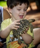Your little animal lover and wannabe Zoo Keeper could have the most magical day of his or her life at Australian Reptile Park and Wildlife Sanctuary.