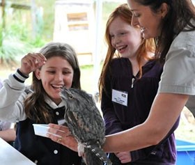 australian-reptile-park