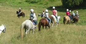 Kiah Park Horse Riding Camp