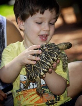 australian-reptile-park