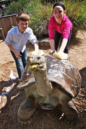 australian-reptile-park